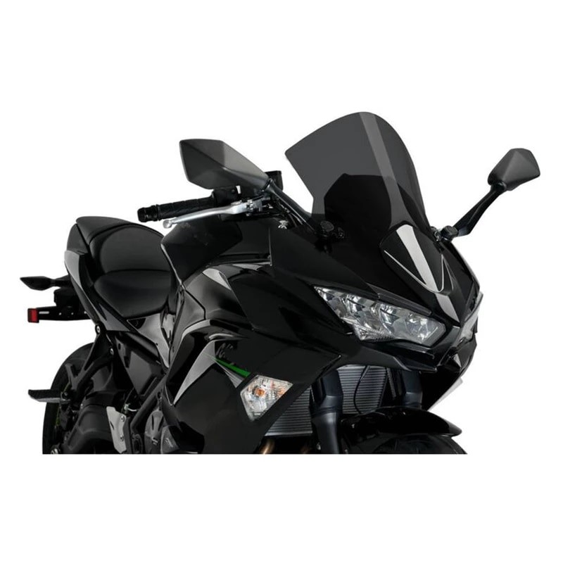 Kawasaki Ninj 650 2020 onwards Windshield