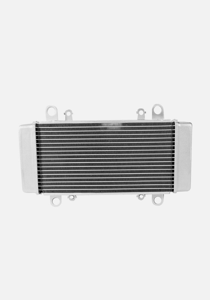 Radiator Suitable For Ninja 300