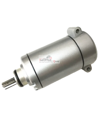 Starter Motor Assembly Suitable for Benelli TRK 502